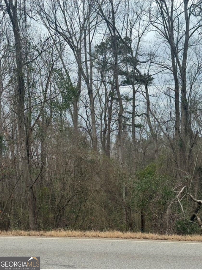 LOT 8 Sparta Highway