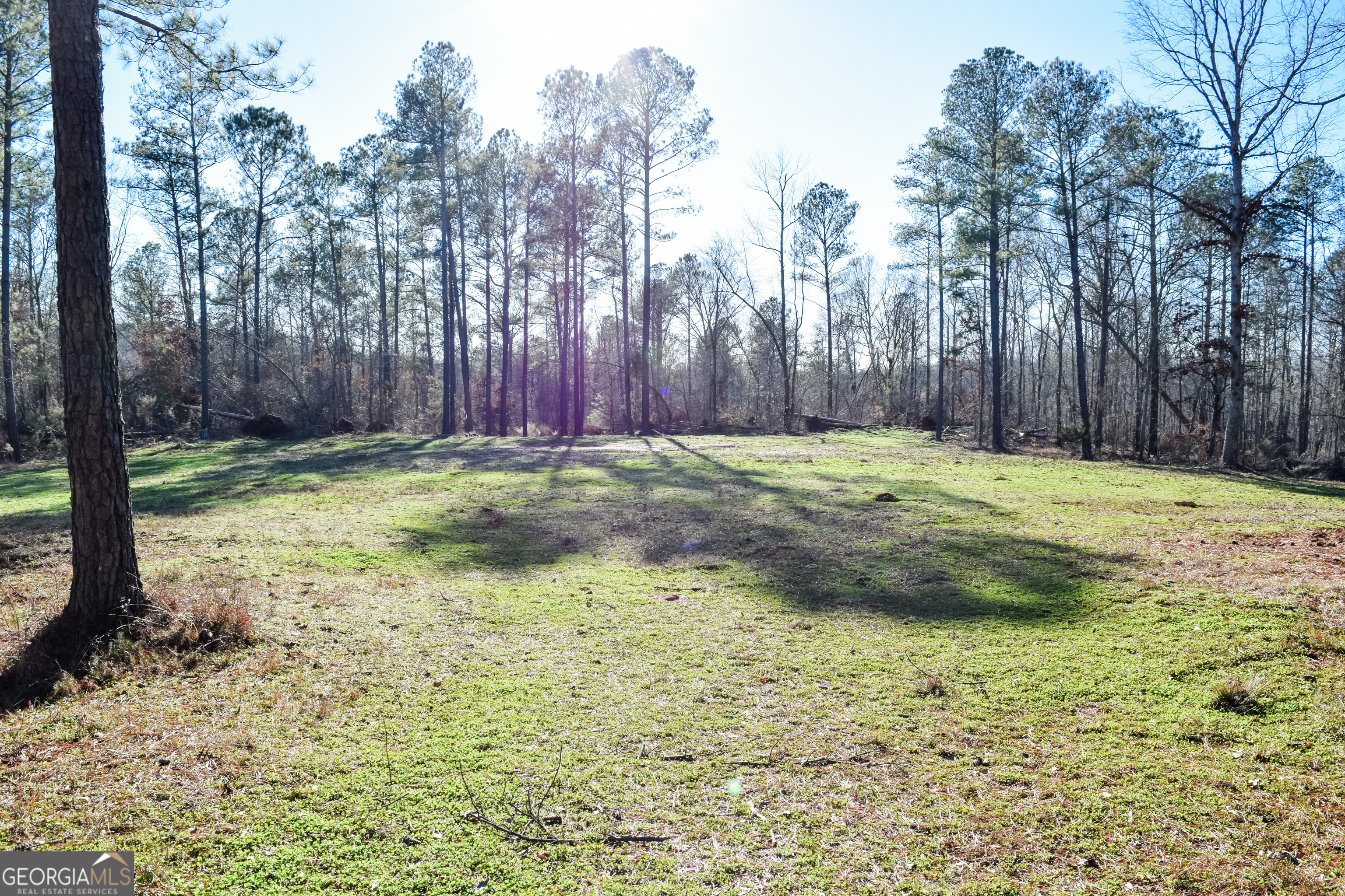 4427 County Line Road Unit: 206.61 ACRES