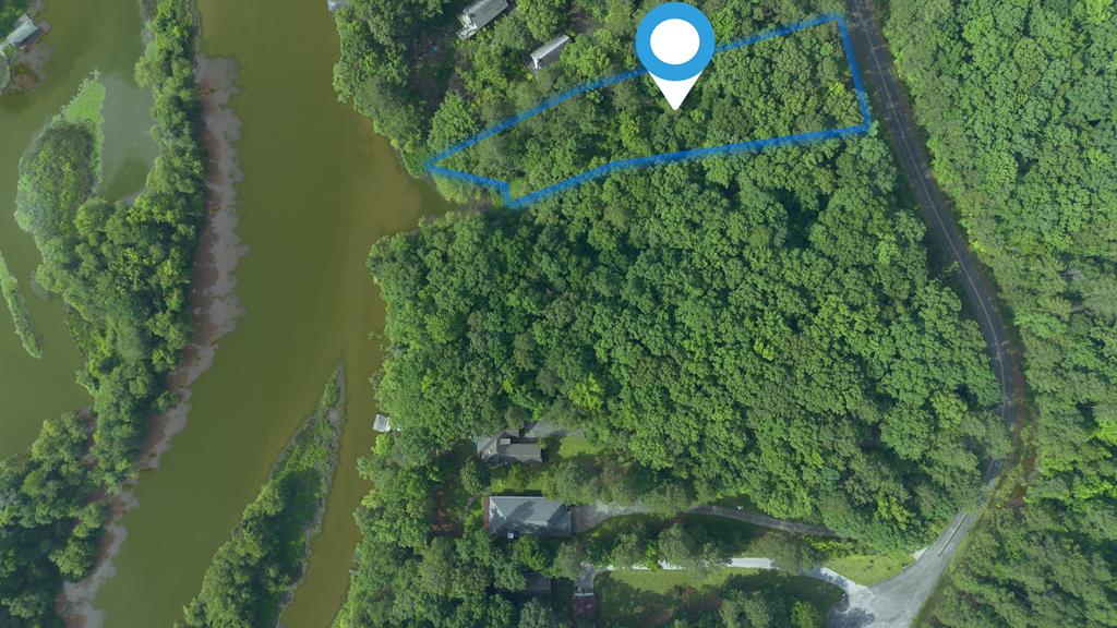 Aerial view of a wooded property outlined in blue beside a waterway.