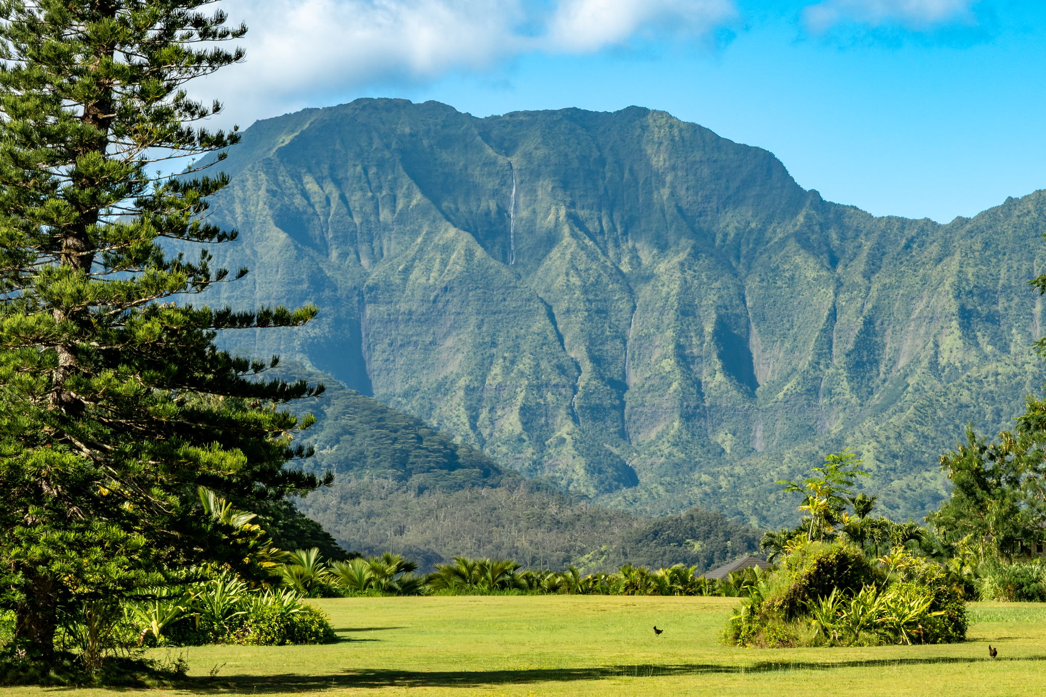 HANALEI PLANTATION RD