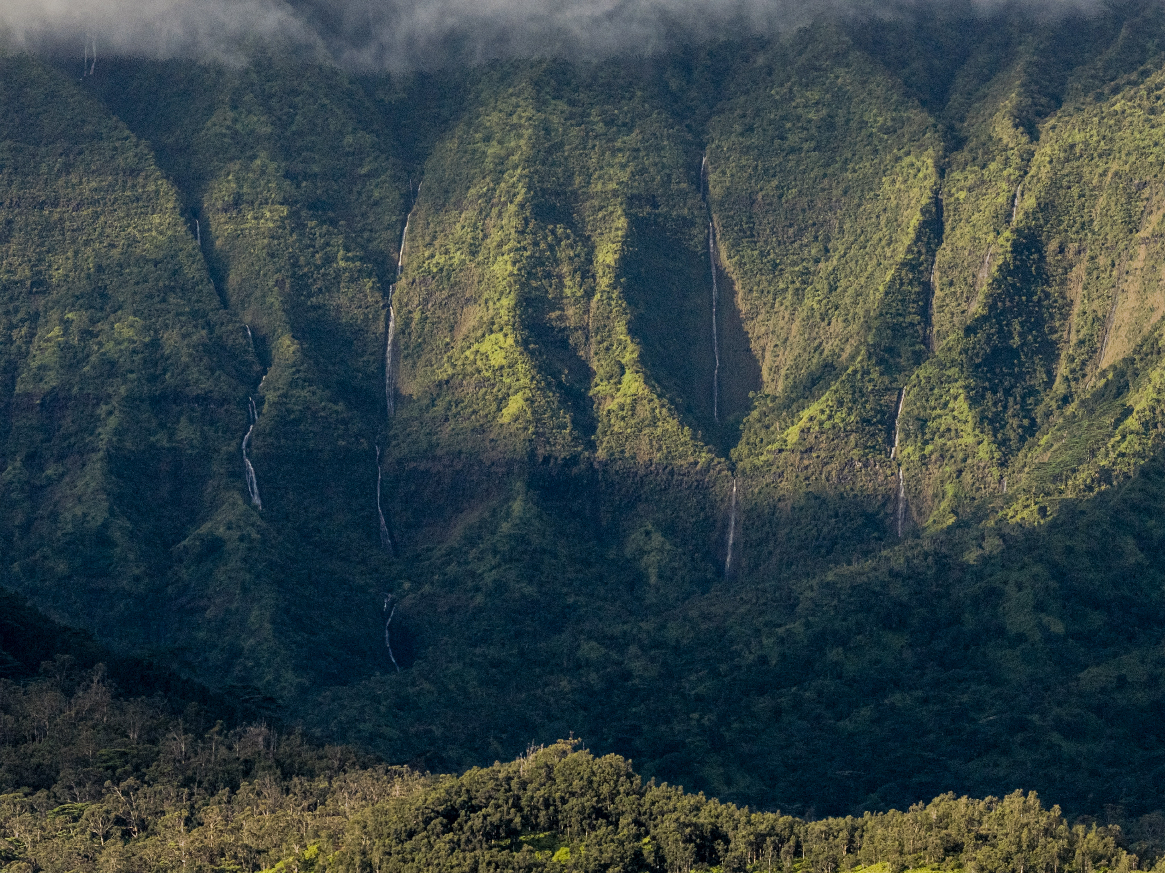 HANALEI PLANTATION RD