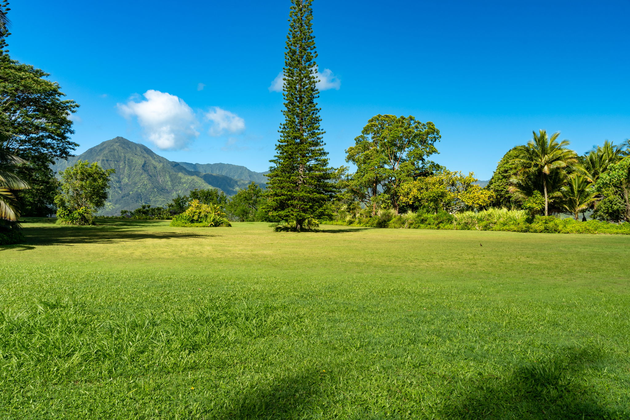 HANALEI PLANTATION RD