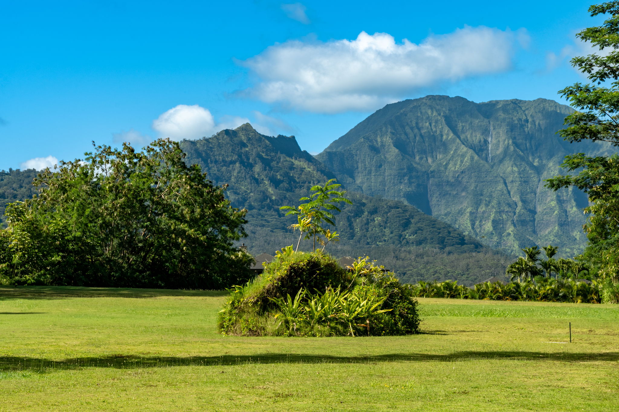 HANALEI PLANTATION RD