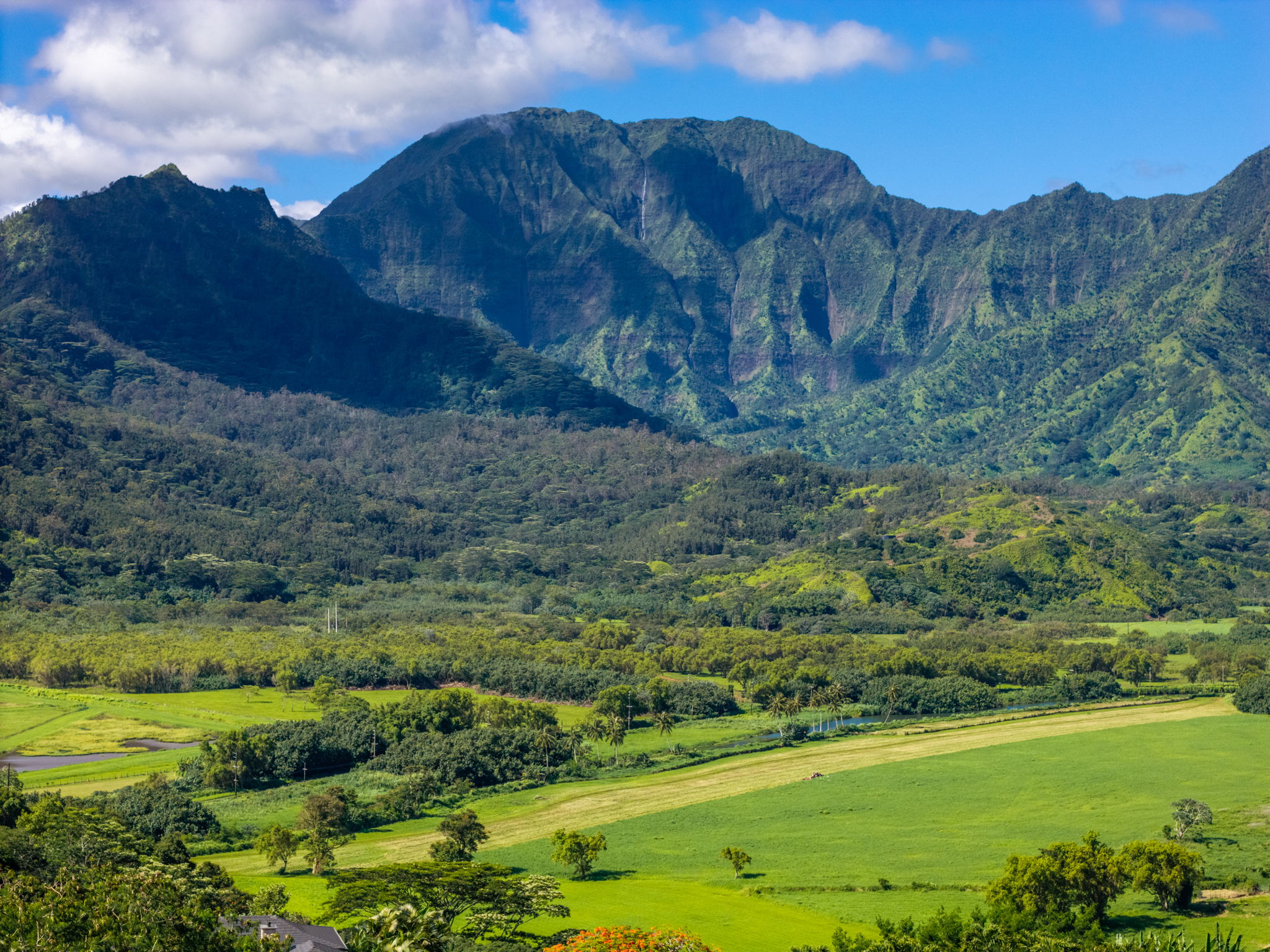 HANALEI PLANTATION RD