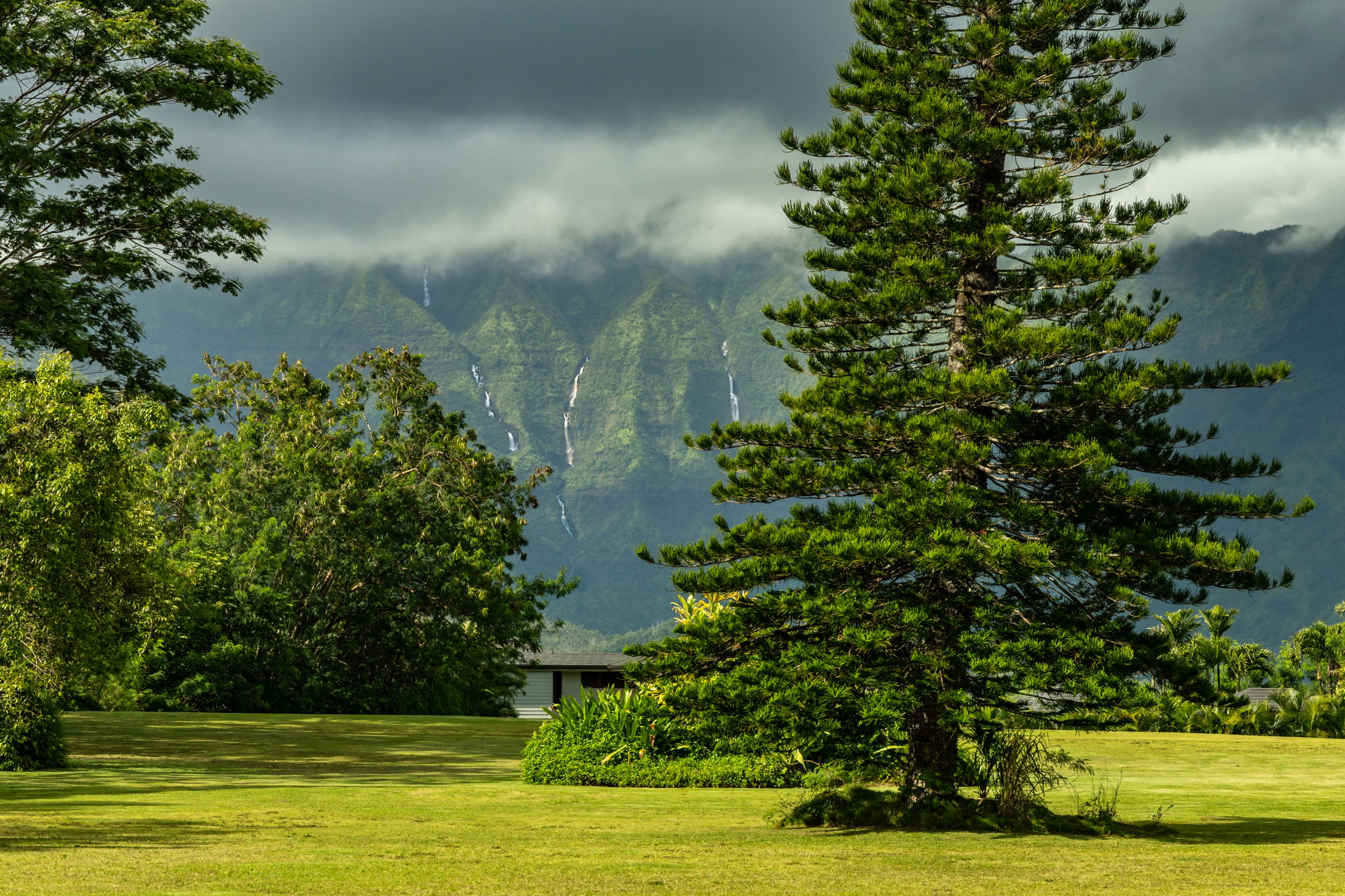 HANALEI PLANTATION RD