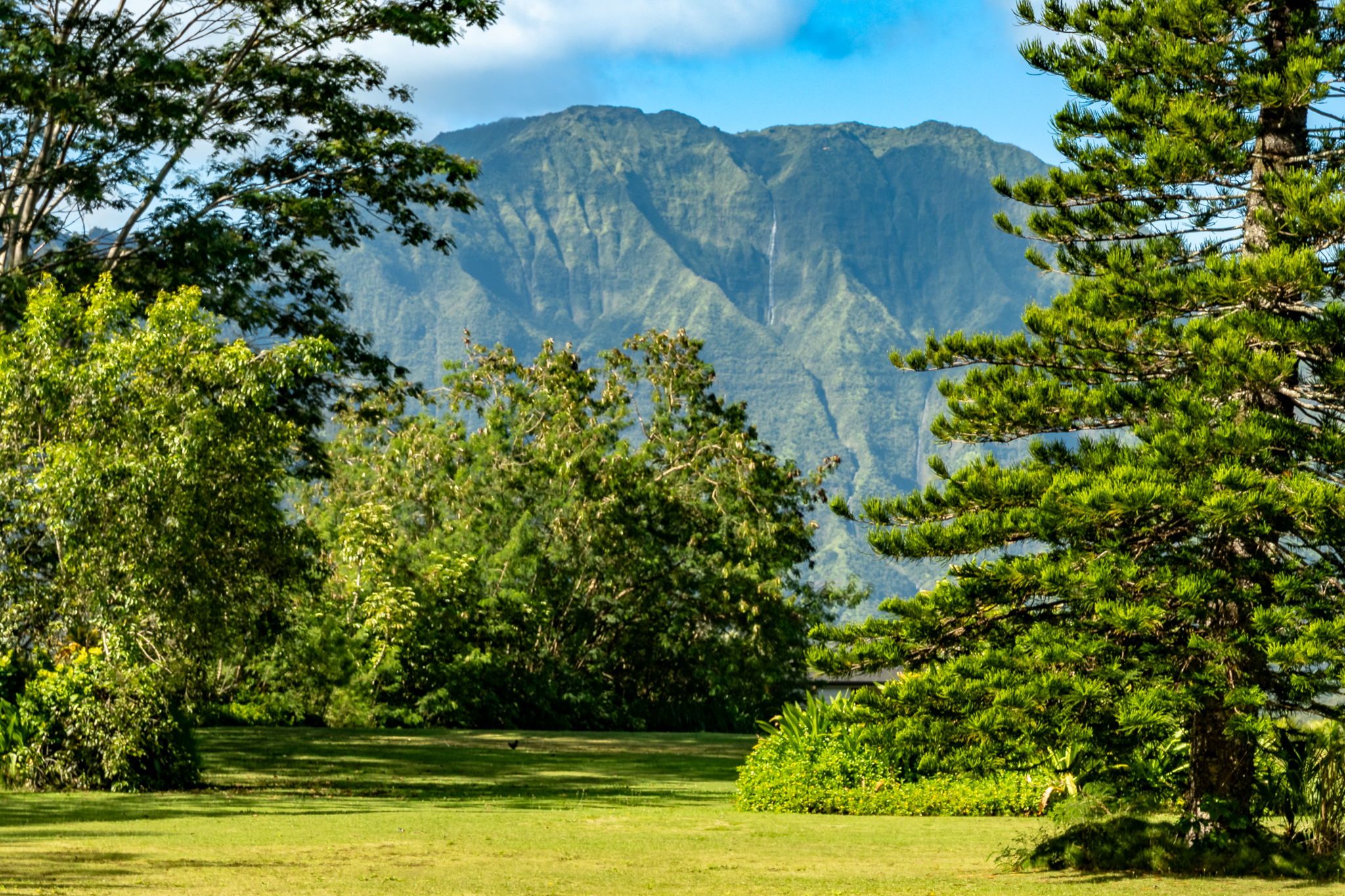 HANALEI PLANTATION RD