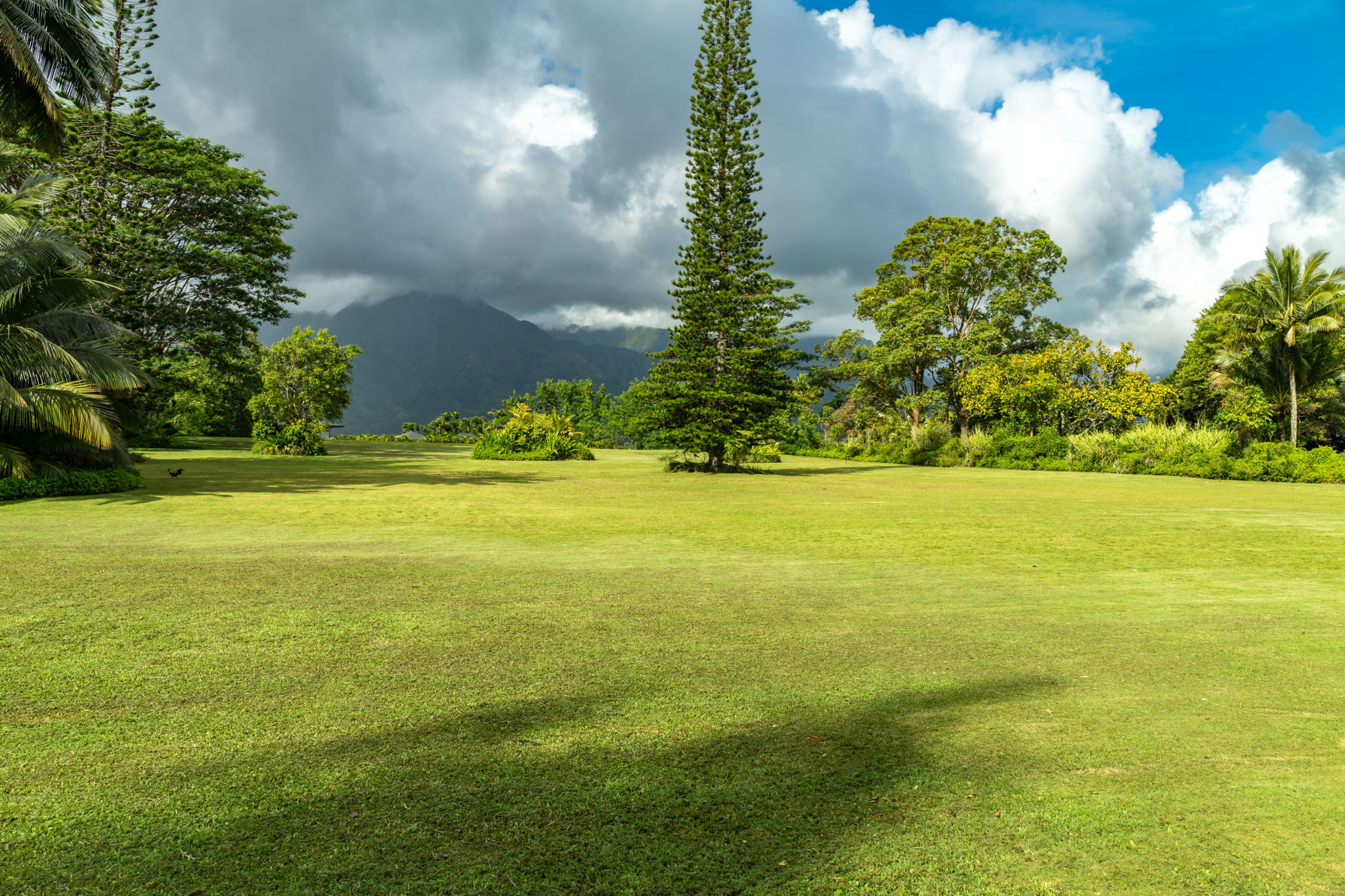 HANALEI PLANTATION RD