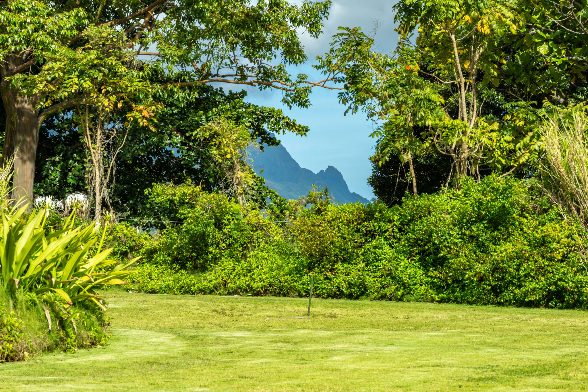 HANALEI PLANTATION RD