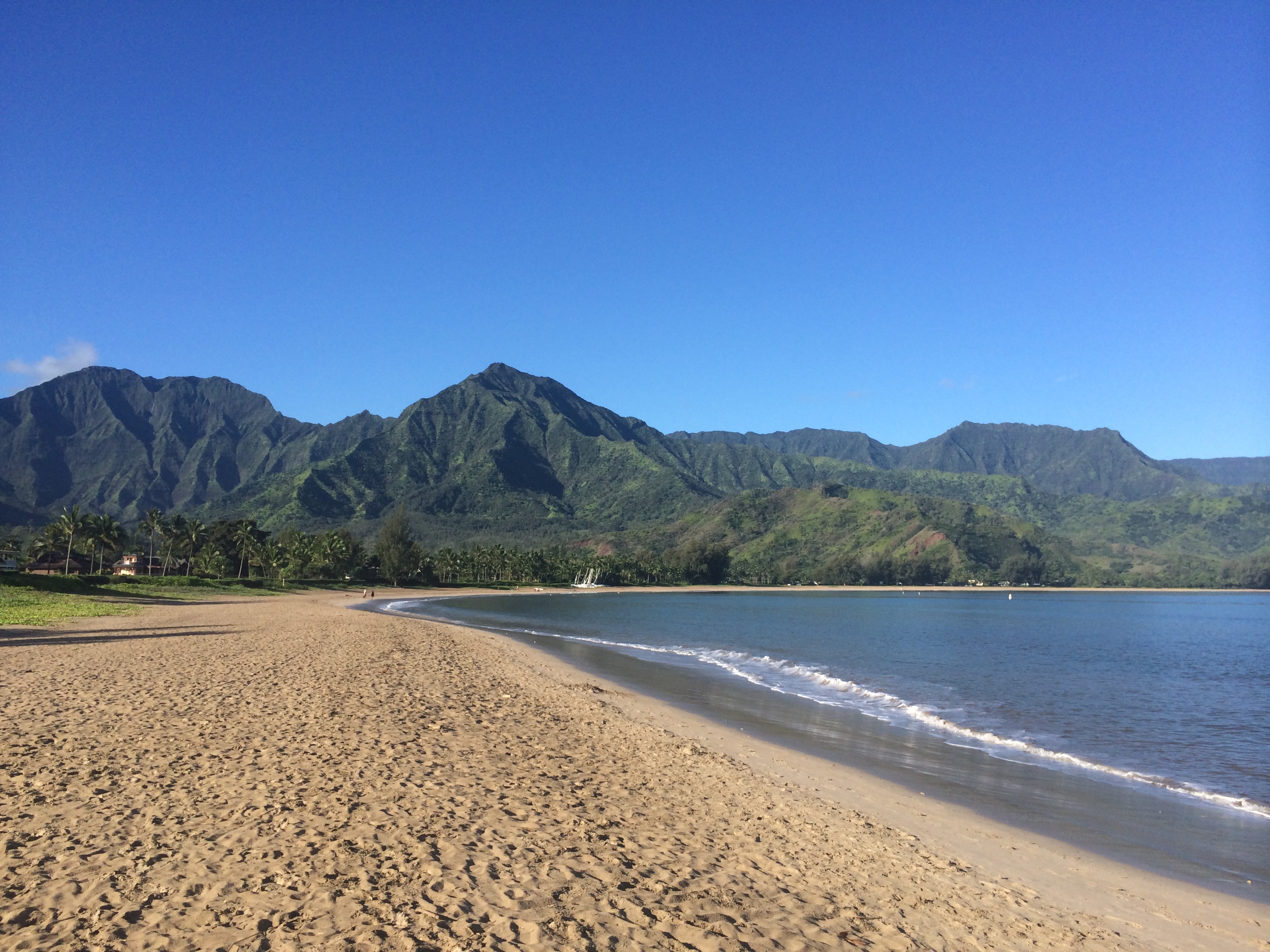 5-5236 KUHIO HWY B