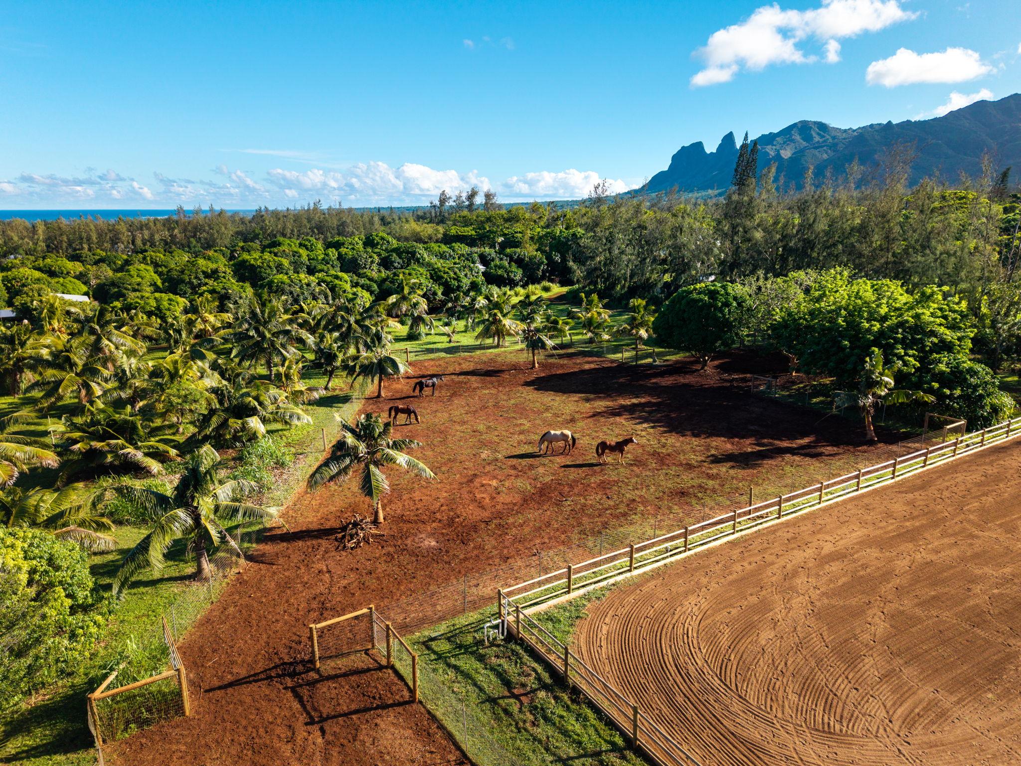 6020 KOOLAU RD 0053