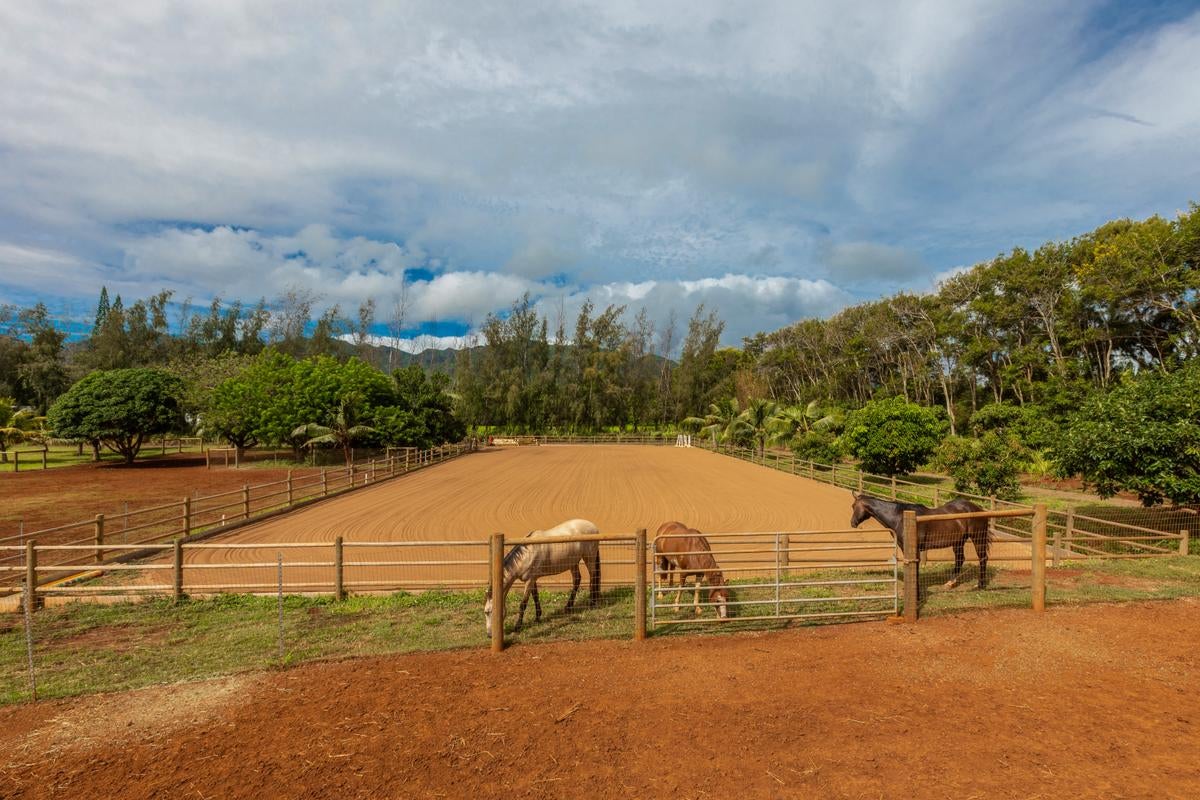 6020 KOOLAU RD 0053