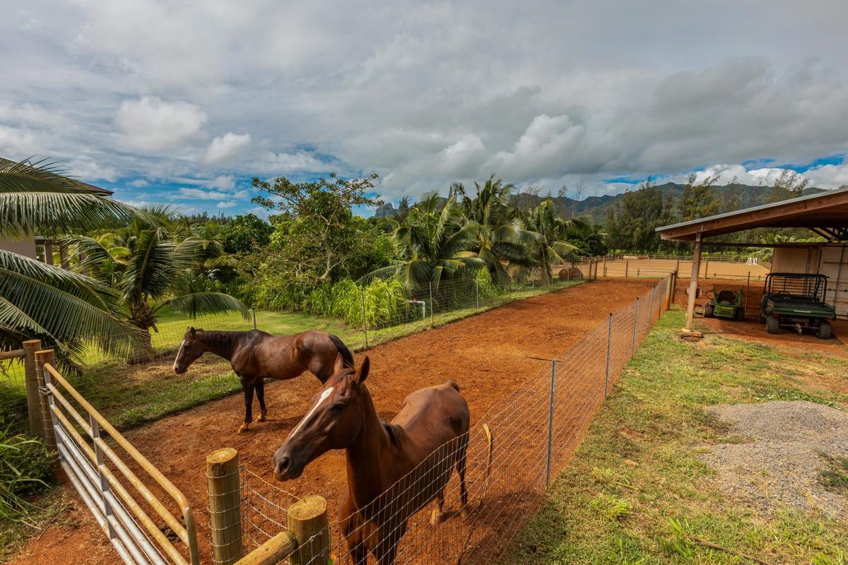 6020 KOOLAU RD 0053