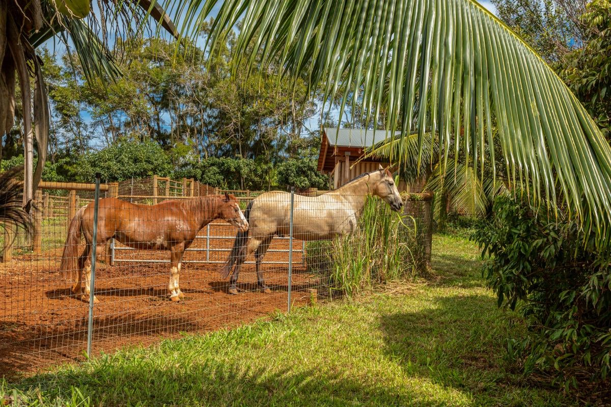 6020 KOOLAU RD 0053