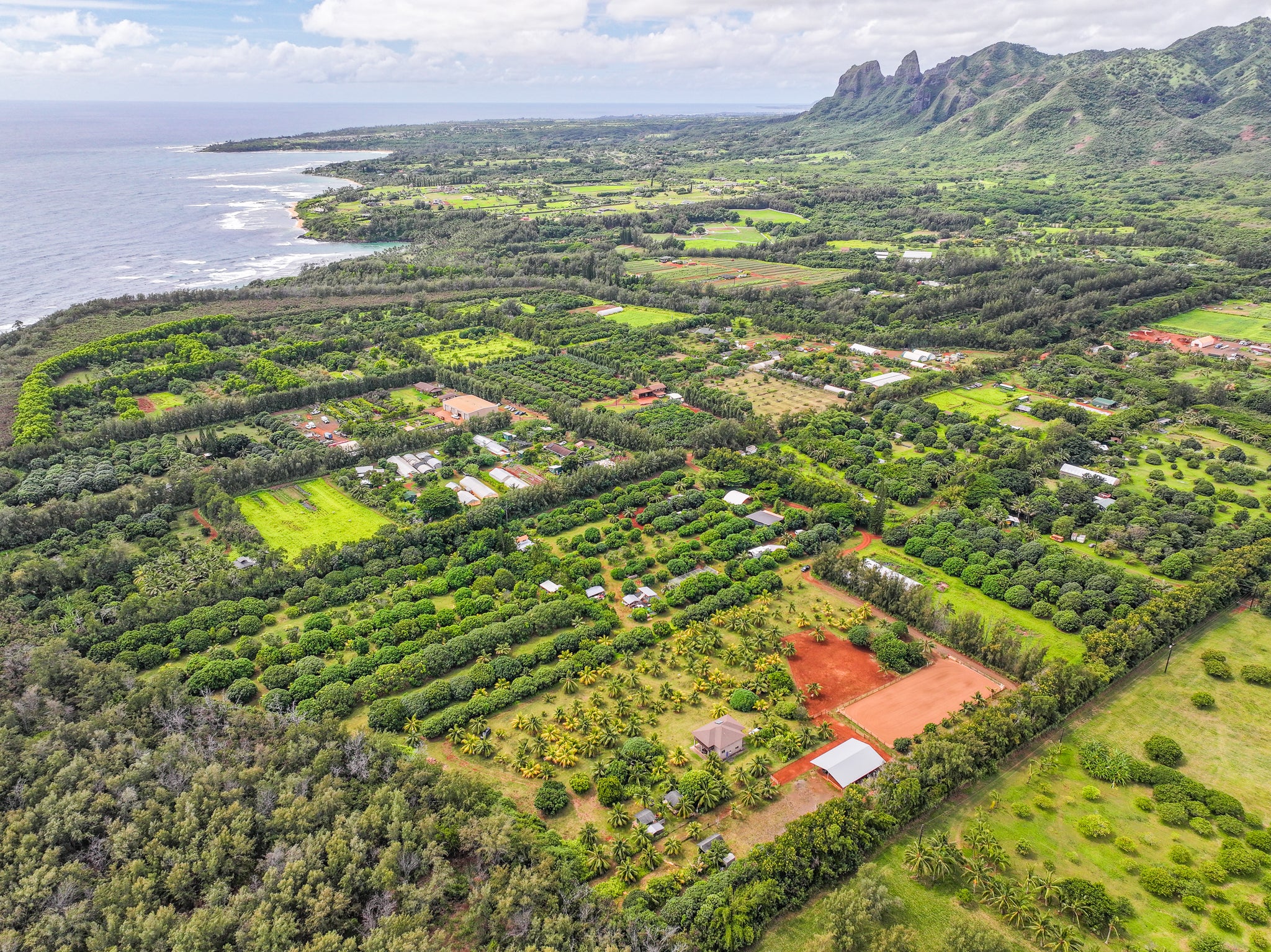 6020 KOOLAU RD 0053