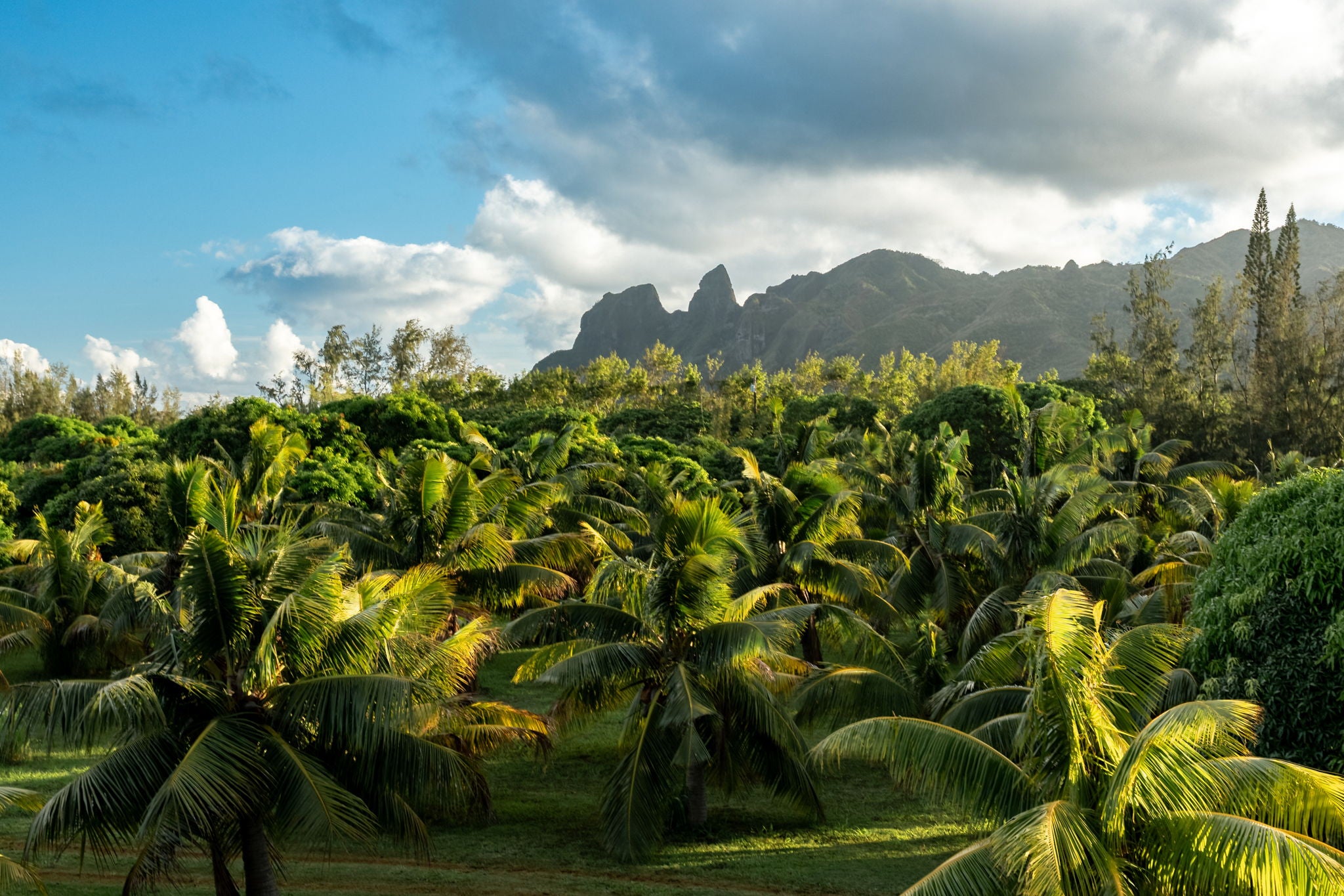 6020 KOOLAU RD 0053