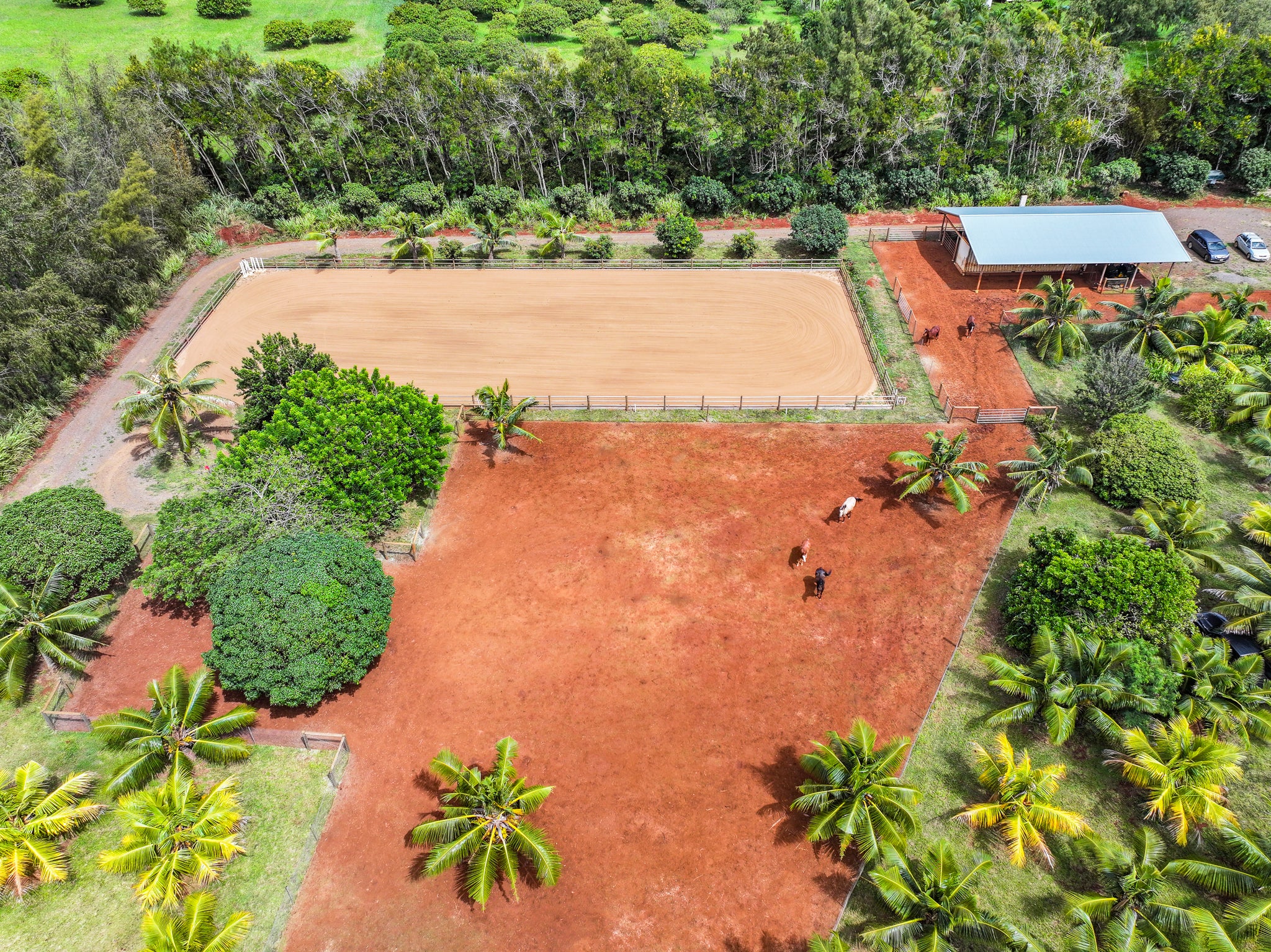 6020 KOOLAU RD 0053