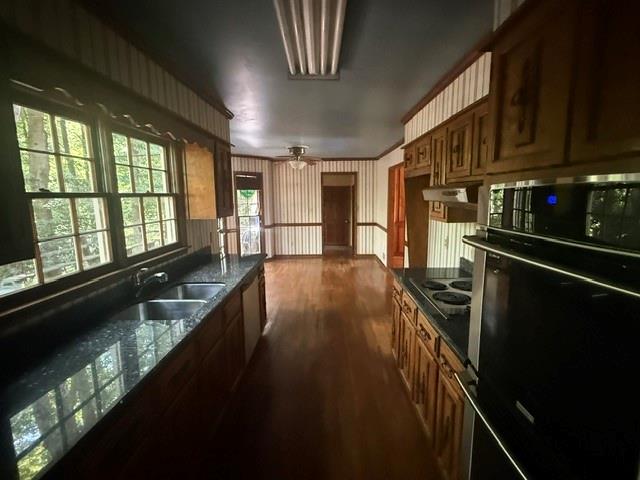 215 River Pass Trail