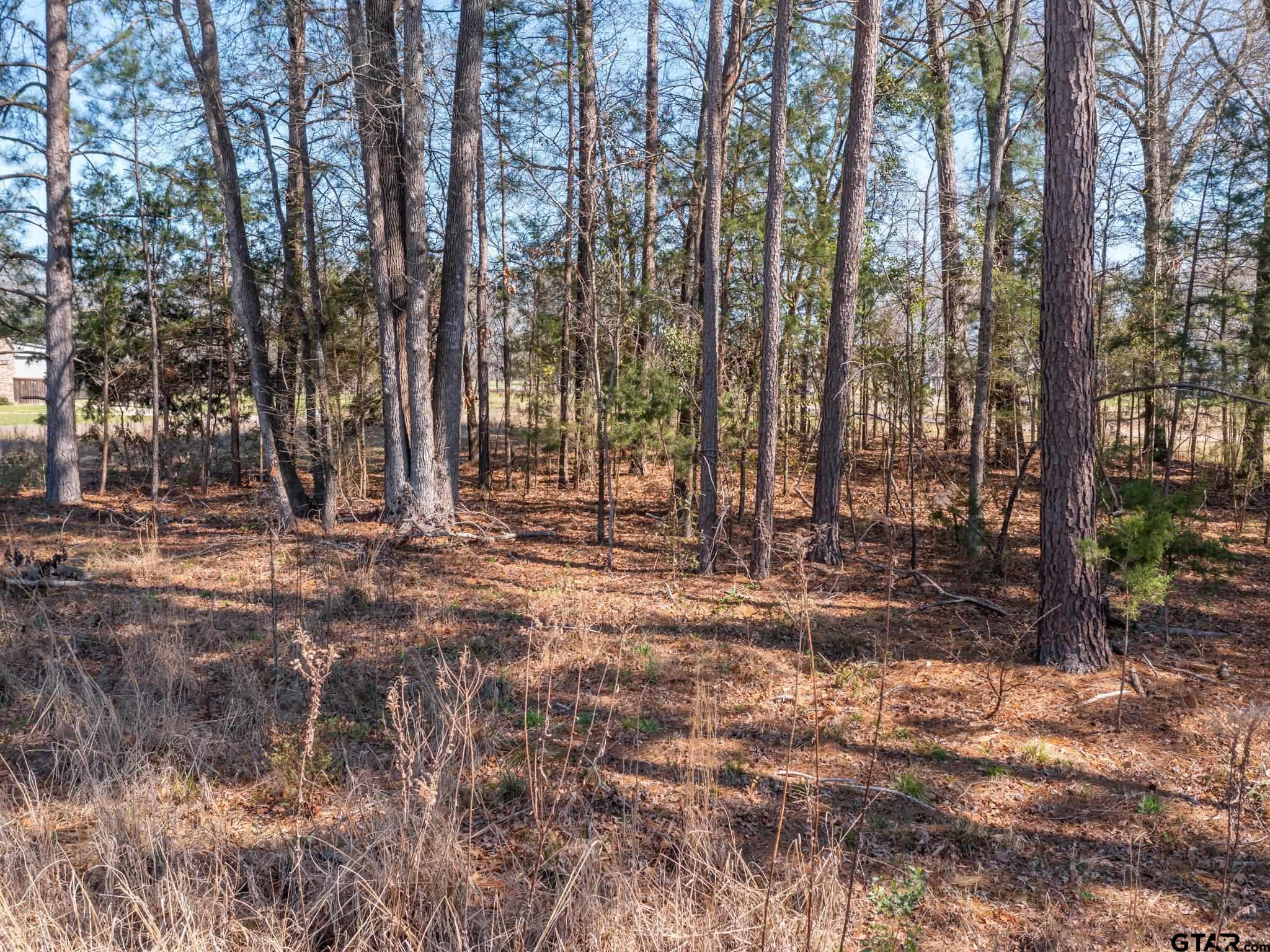 21324 Gatlinburg Road
