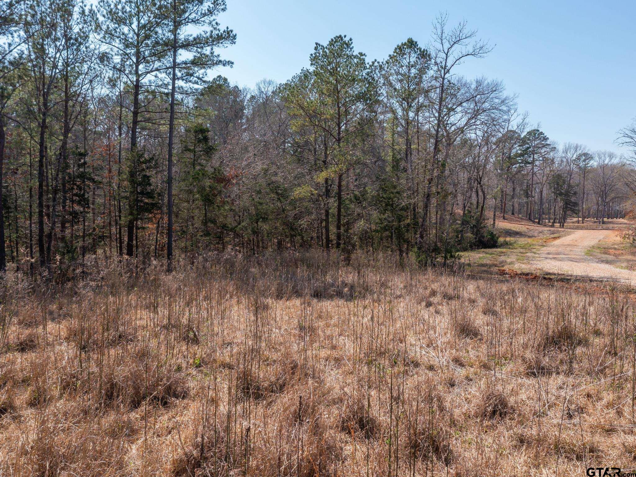 21324 Gatlinburg Road