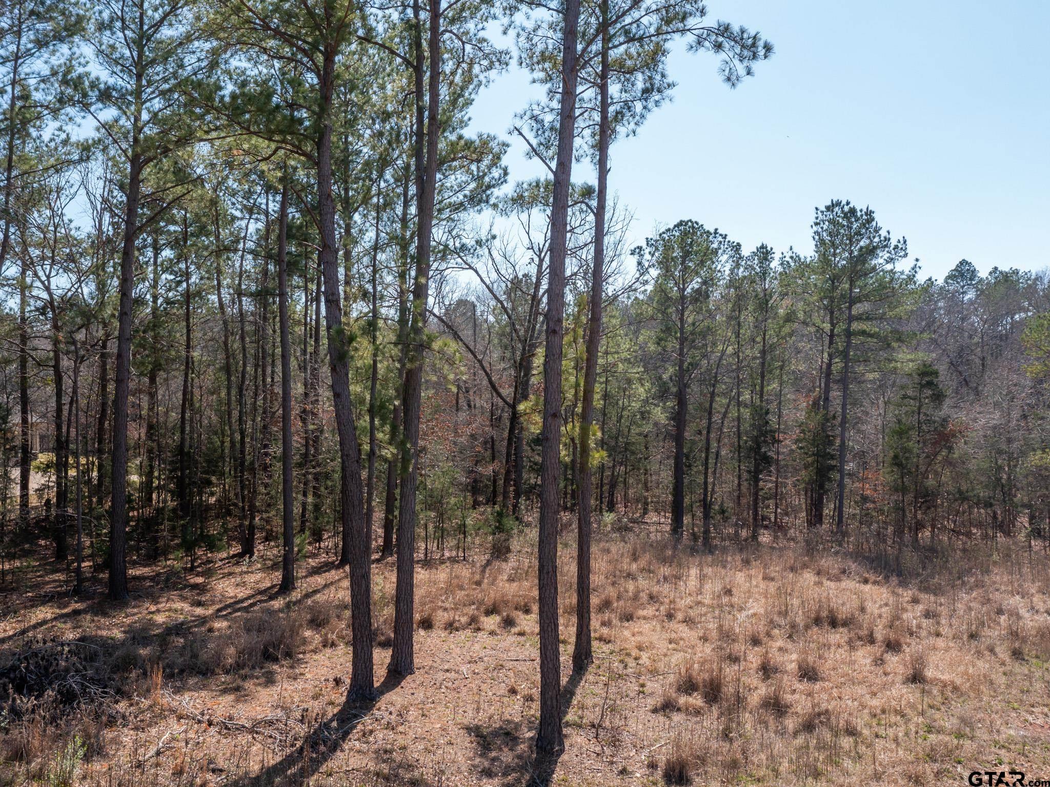 21324 Gatlinburg Road