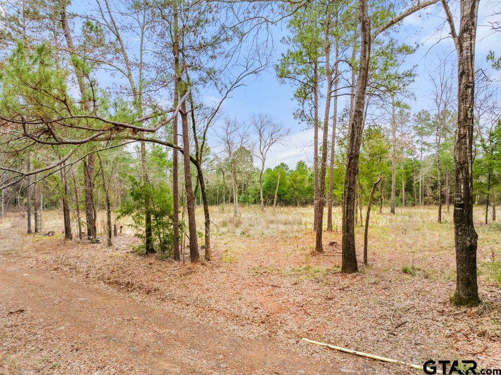 268 County Road 3607