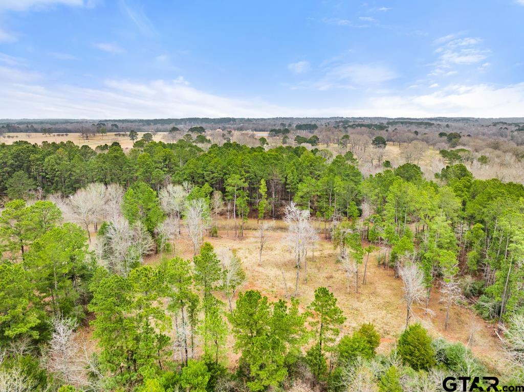 268 County Road 3607