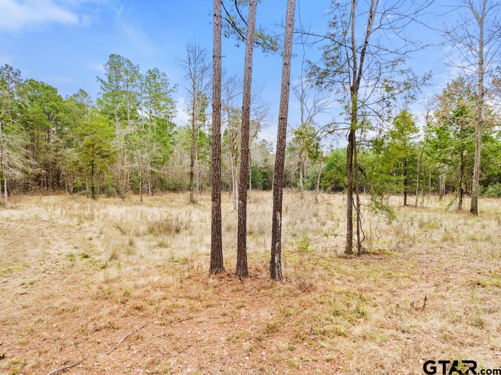 268 County Road 3607
