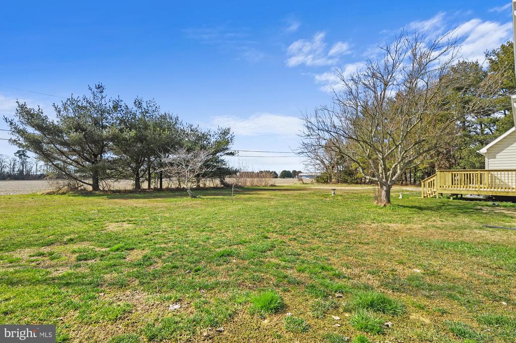 3447 BAY ROAD