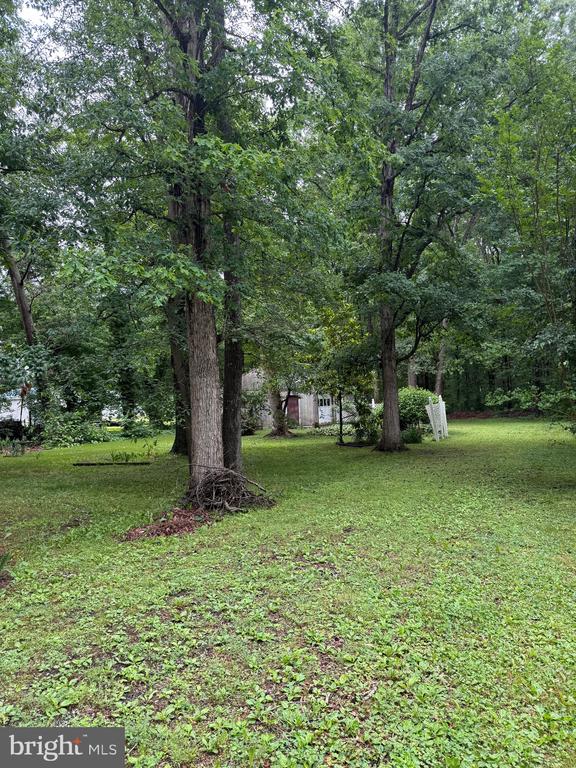 1554 CENTRAL CHURCH ROAD
