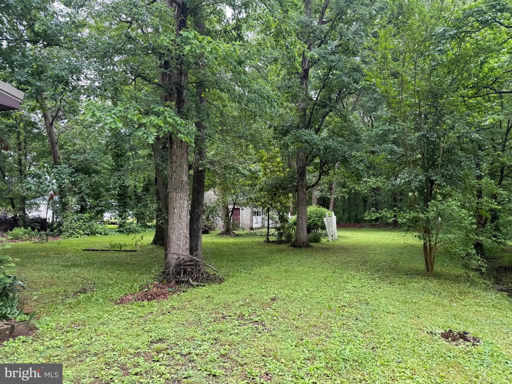 1554 CENTRAL CHURCH ROAD