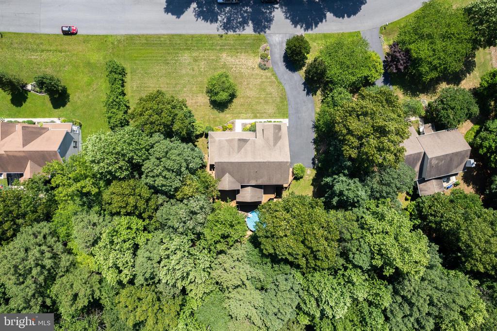 339 LORRAINE DRIVE