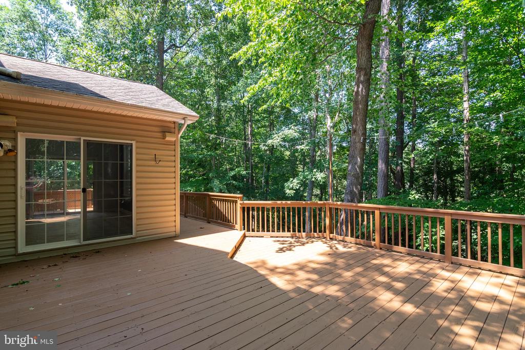 339 LORRAINE DRIVE
