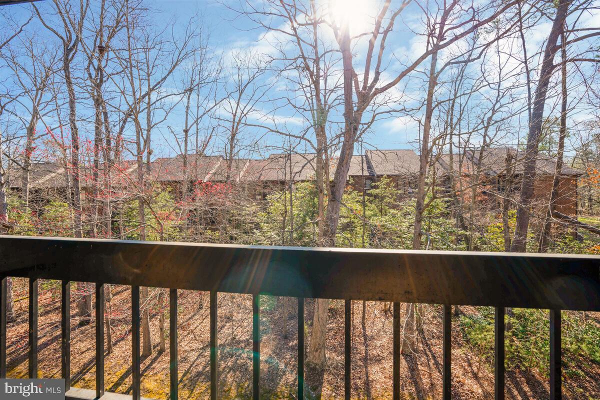 23242 CHESTNUT OAK COURT 10E