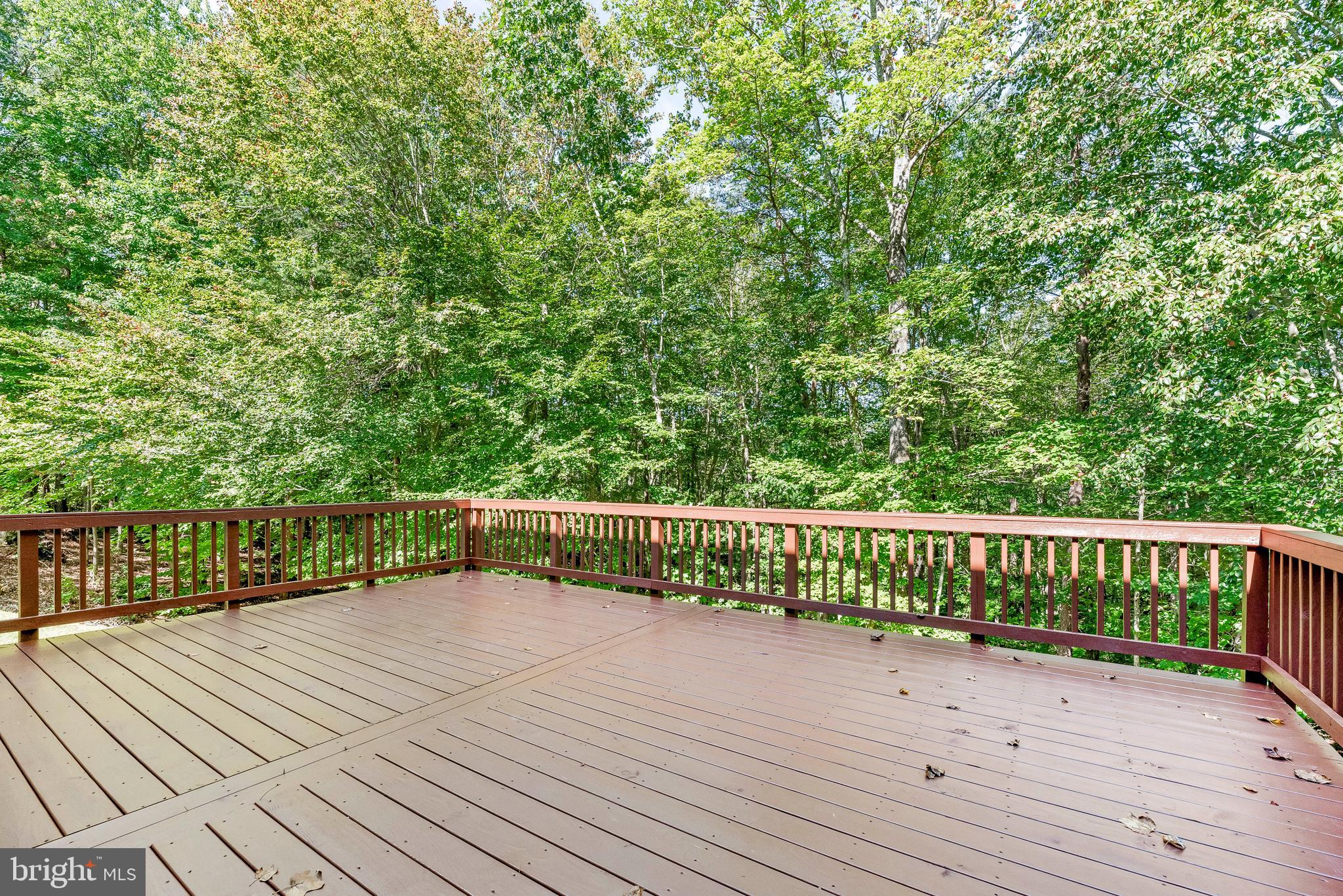 24589 BATEMAN COURT