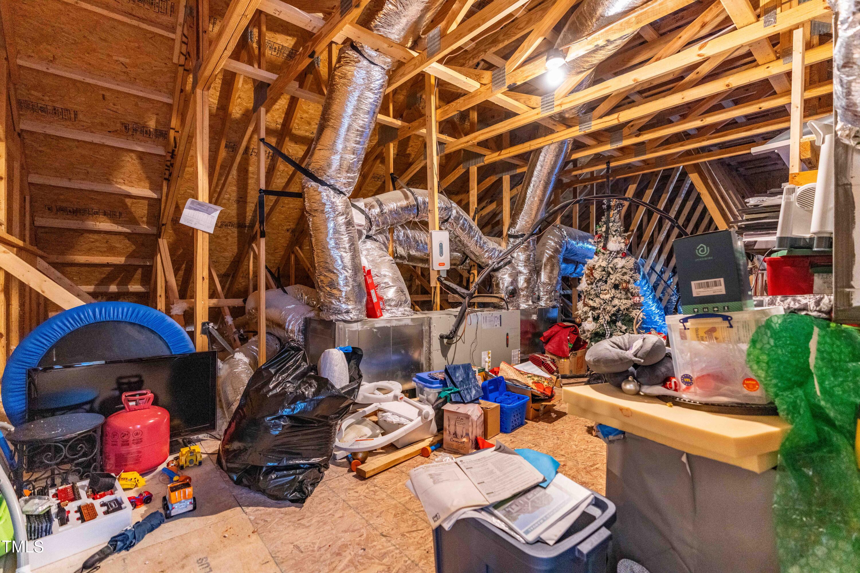 820 Trumpet Vine Court