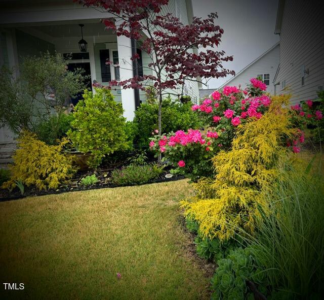 1908 Cypress Cove Drive