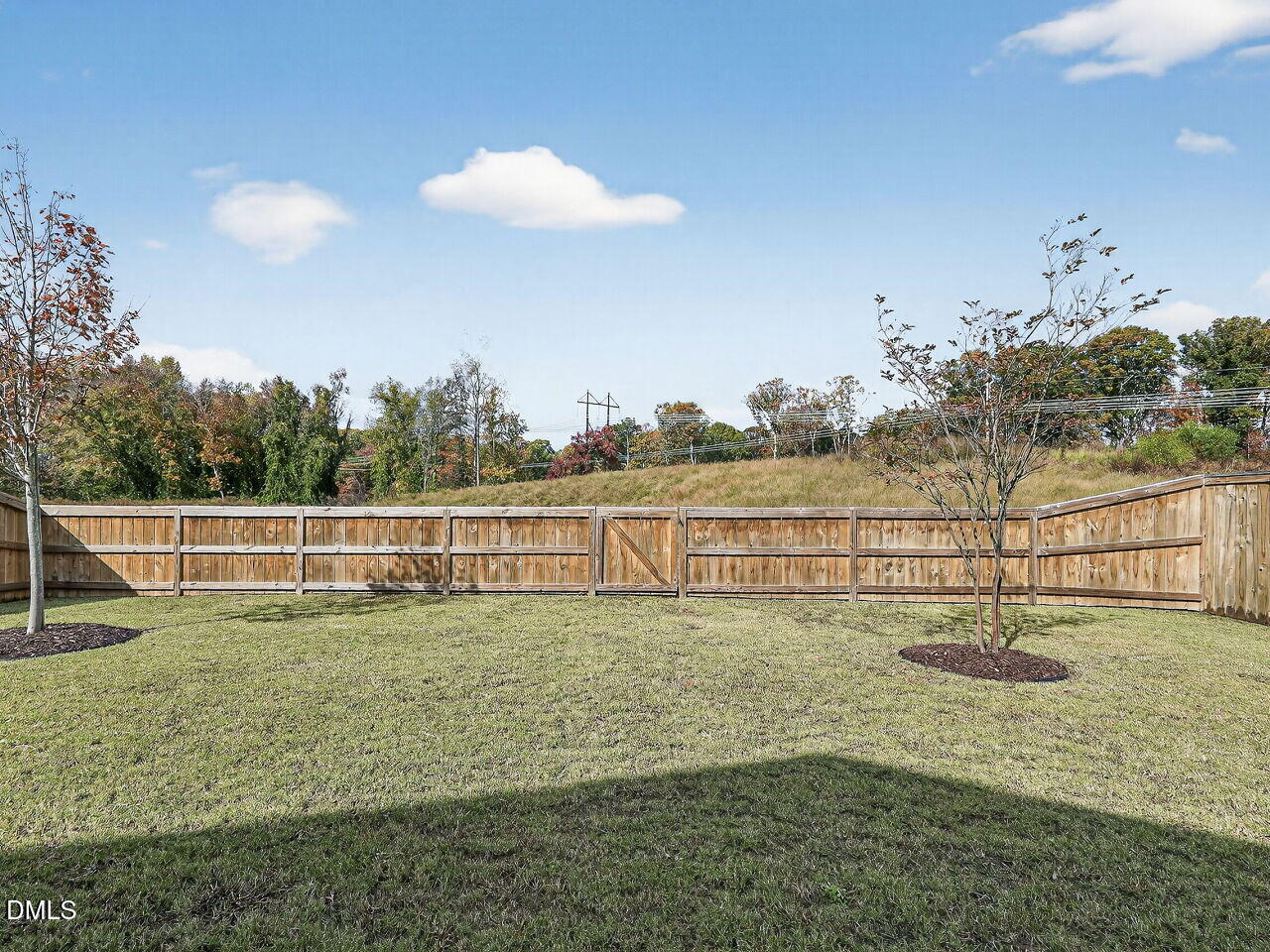 1648 Grassy Falls Lane