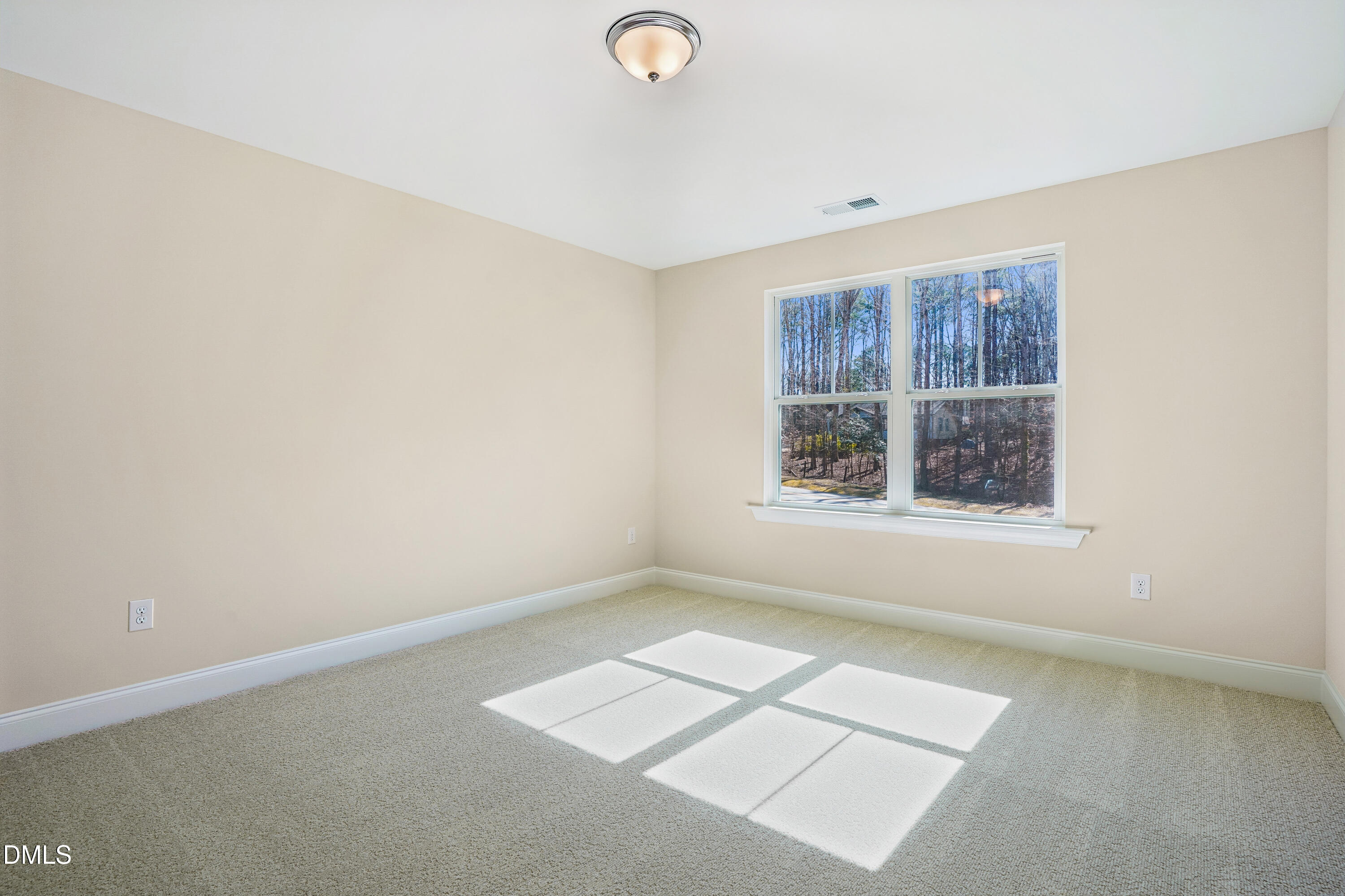 545 Sauls Meadow Lane # 41