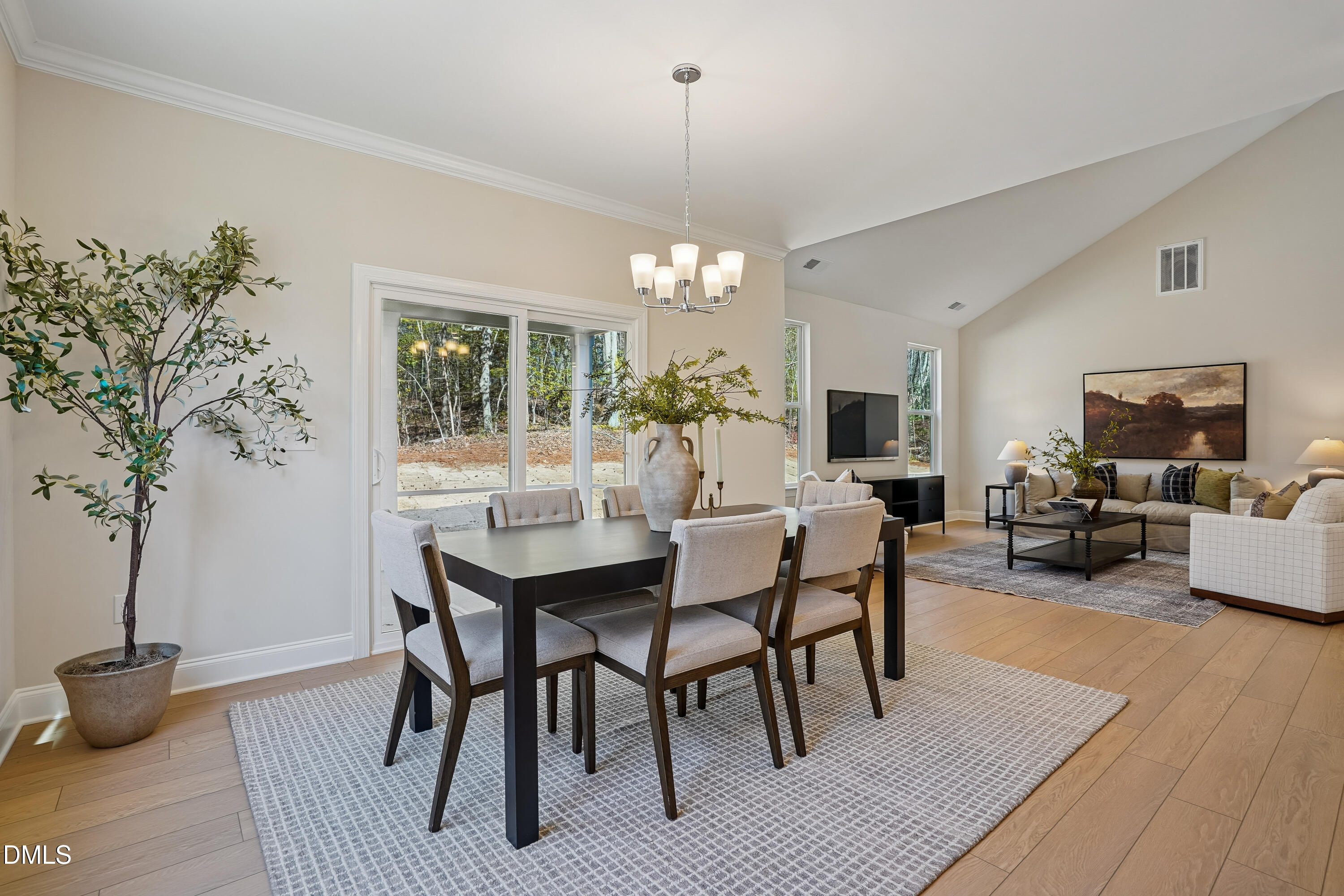 545 Sauls Meadow Lane # 41