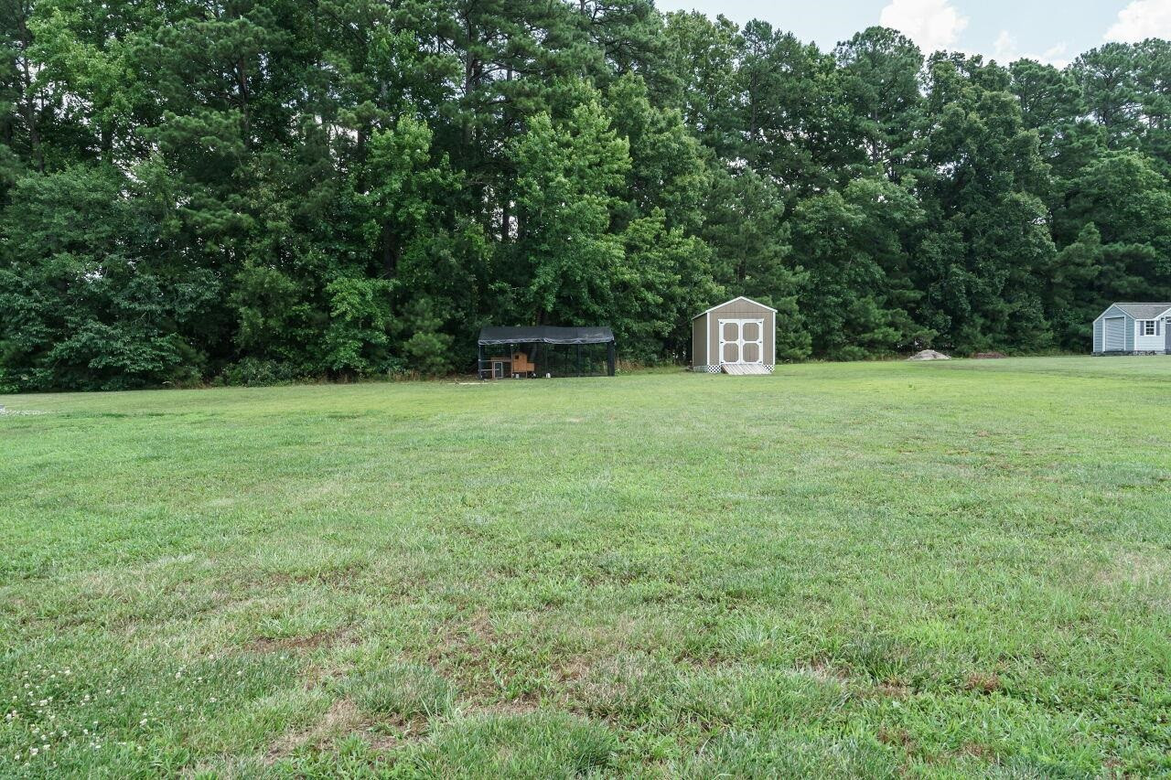 3416 Yellow Buckeye Lane