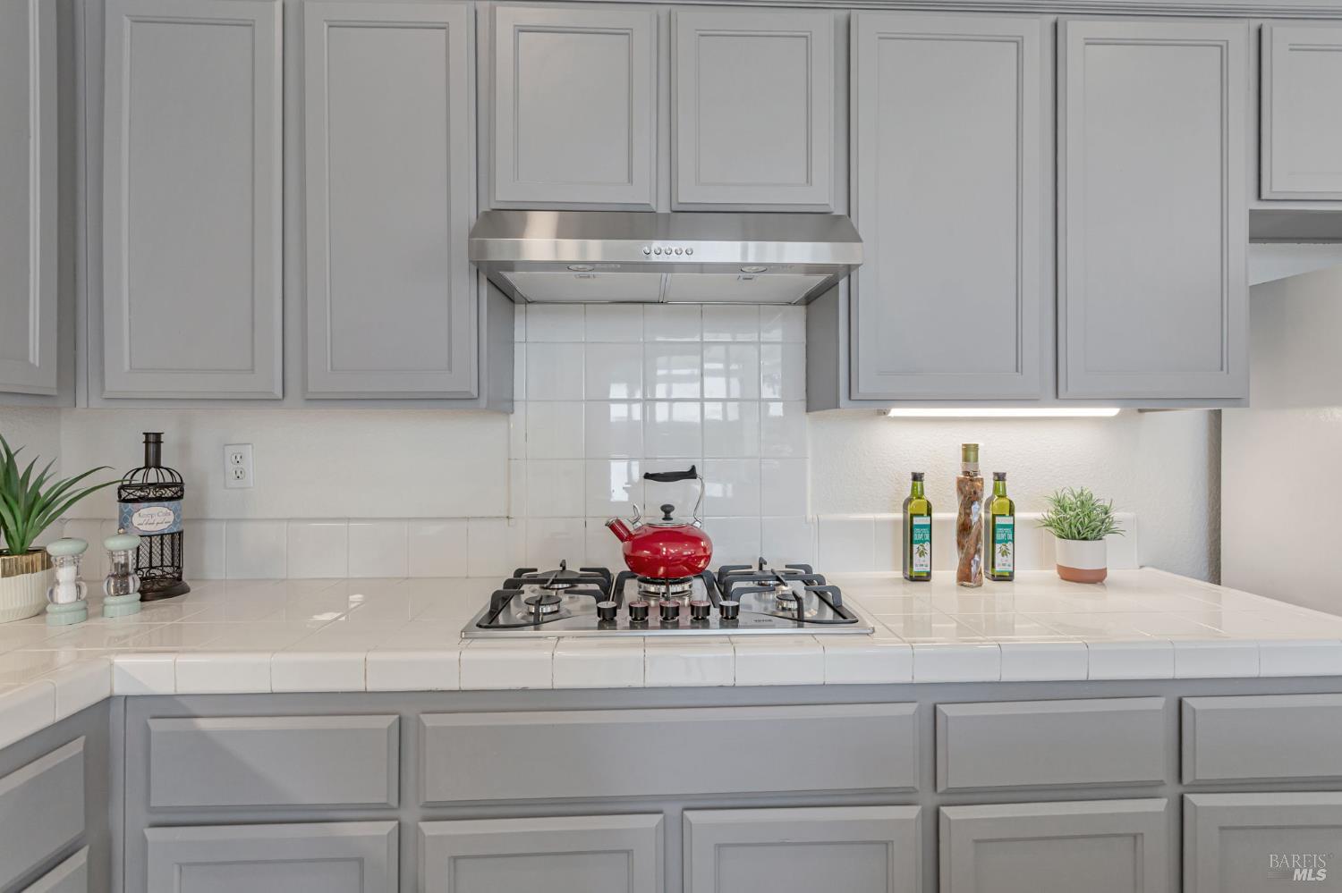 1048 Stillspring Drive