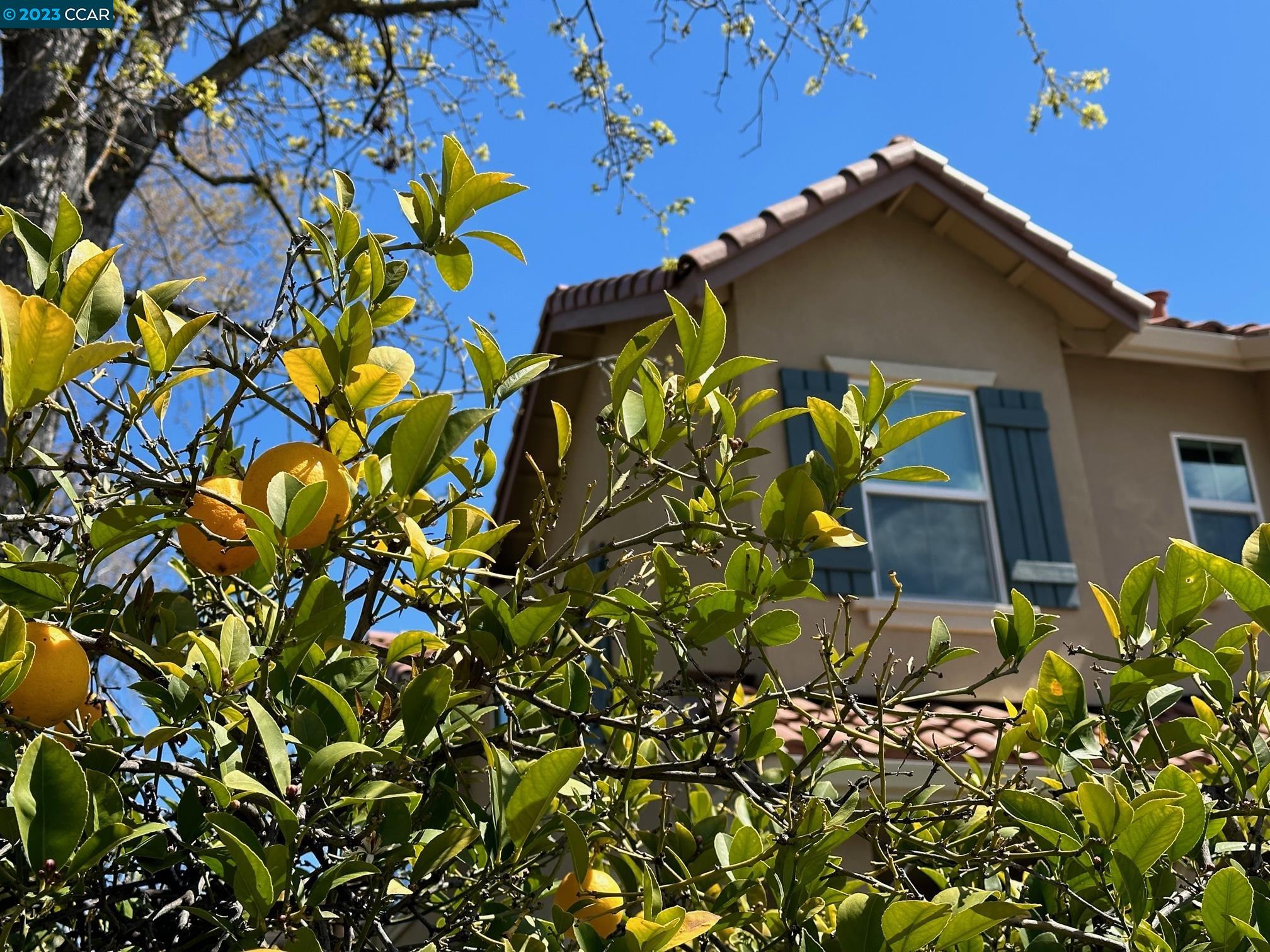 1790 San Miguel Dr