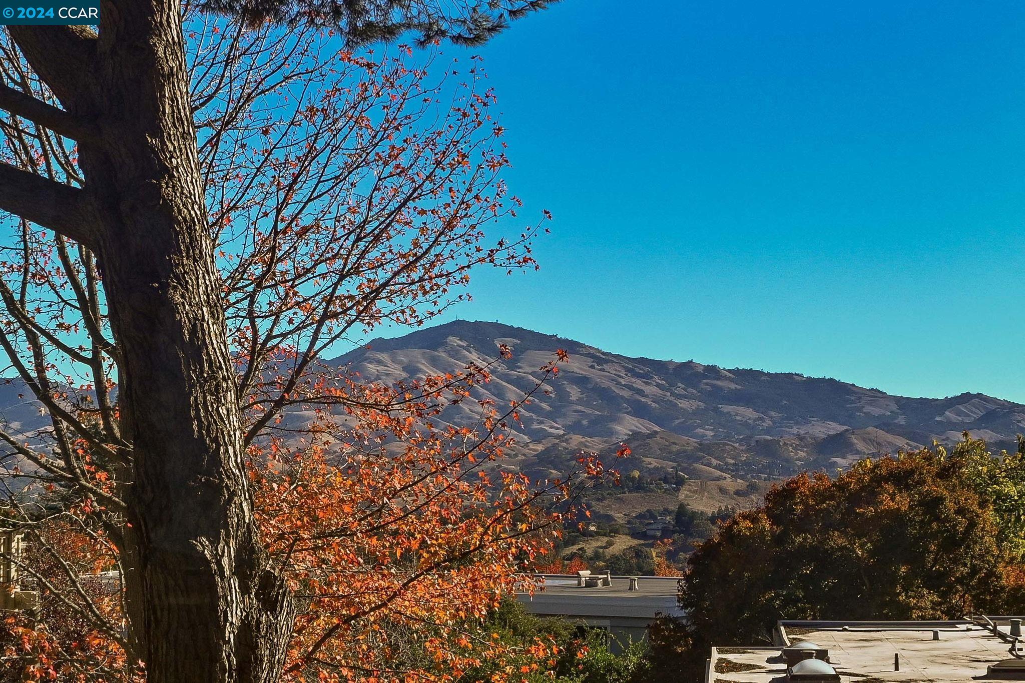 2549 Golden Rain Rd. Unit: 1