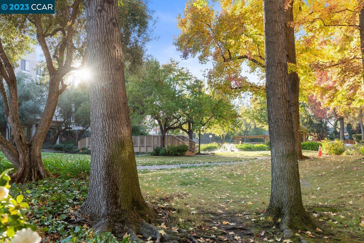 490 N Civic Dr Unit: 304