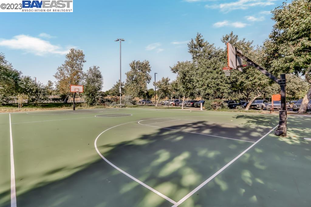 3184 Vittoria Loop