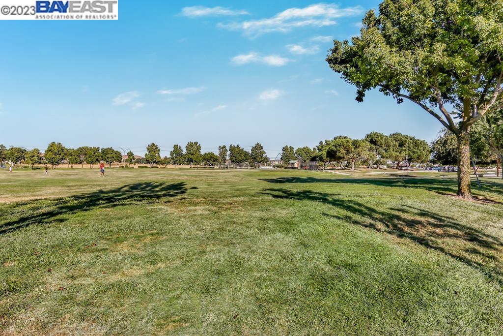 3184 Vittoria Loop