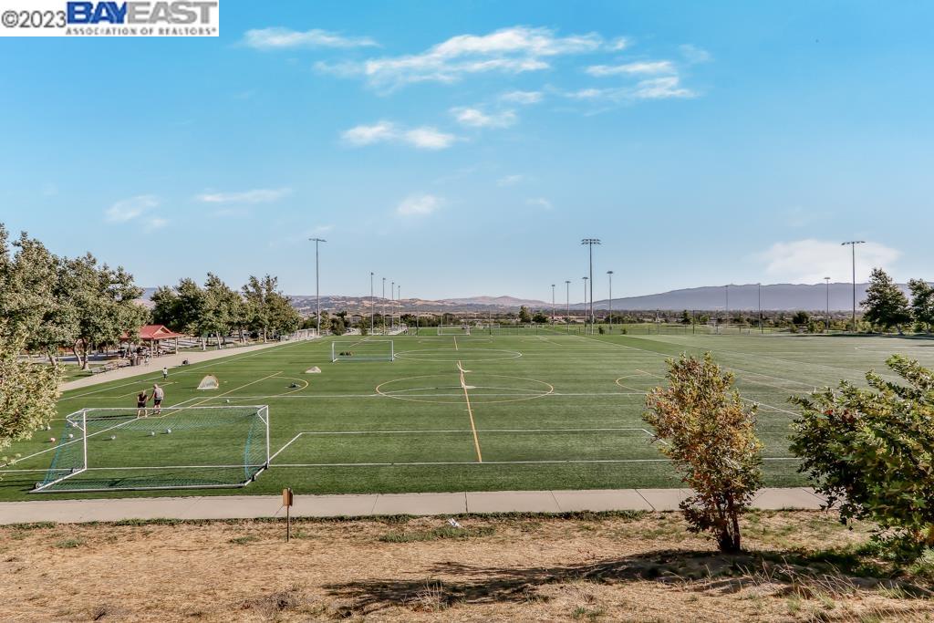3184 Vittoria Loop