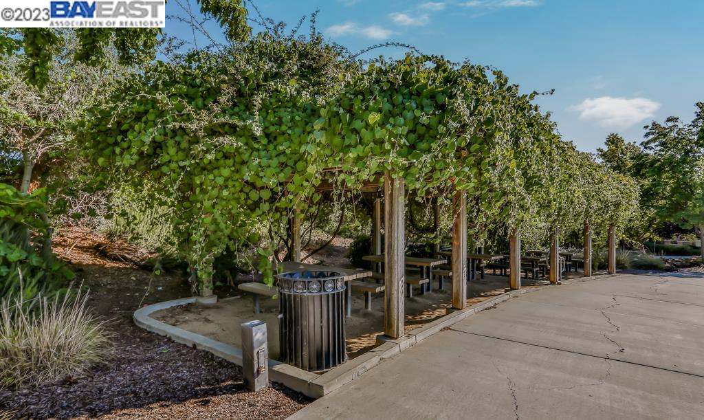 3184 Vittoria Loop