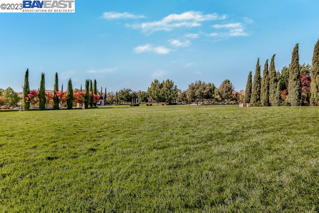 3184 Vittoria Loop