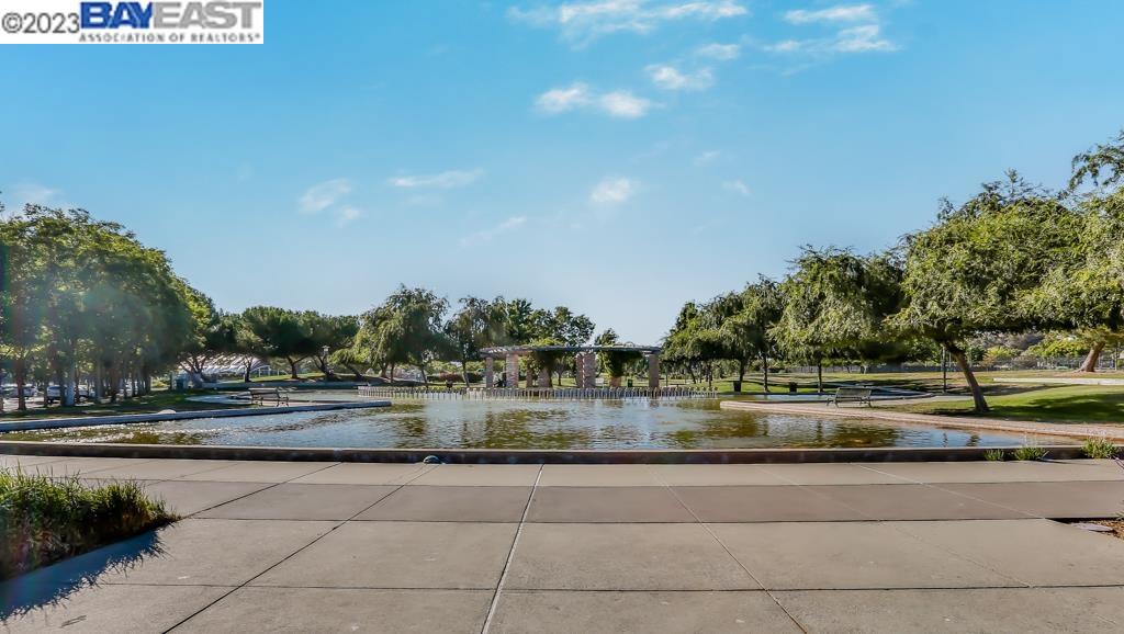 3184 Vittoria Loop